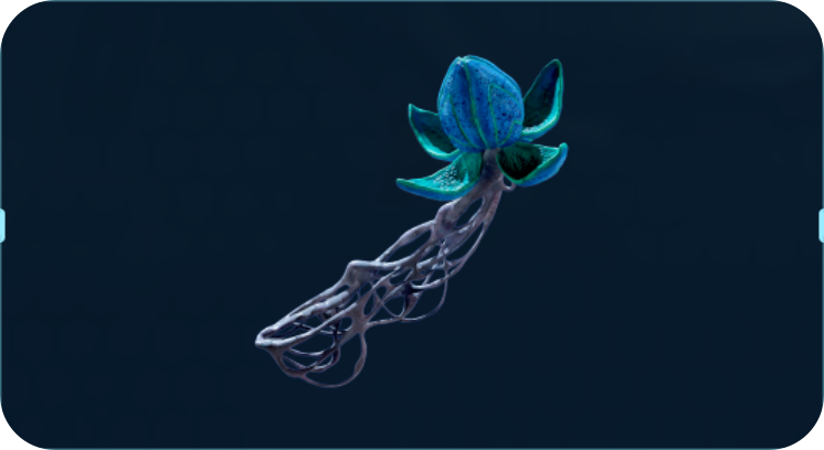 水华溃疡.png