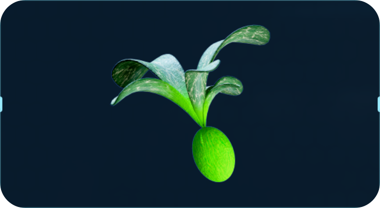 海荔枝.png