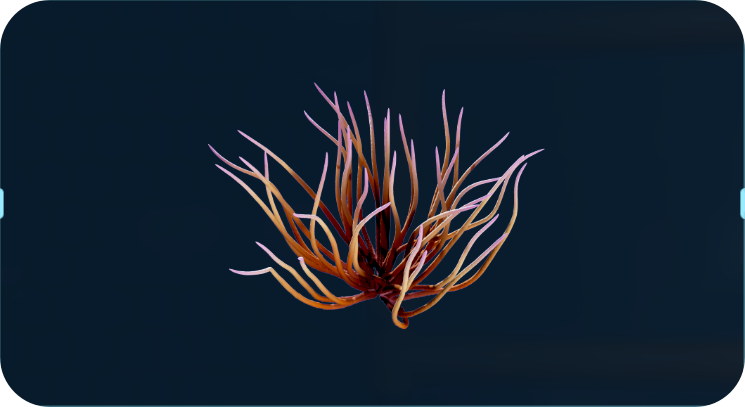 鞭海柳.png