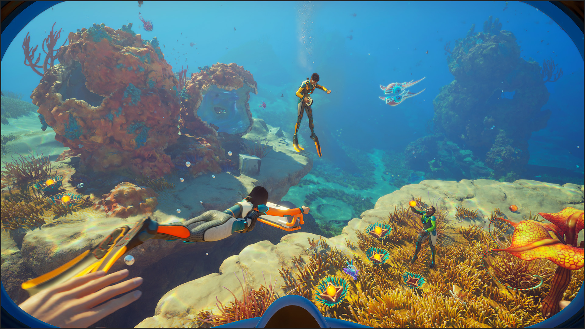 sn2_coral_gardens_with_friends_1080_explore_with_friends.jpg