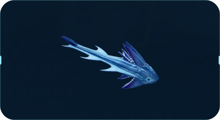 孪生西塔鳐.png
