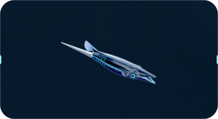 悬浮刺鱼.png