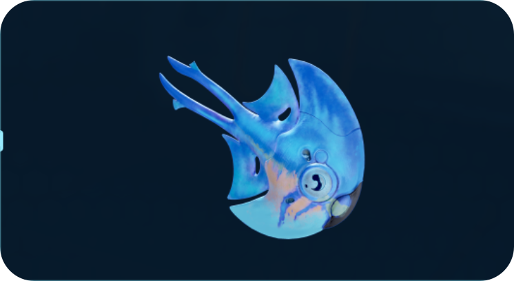蓝月鱼.png