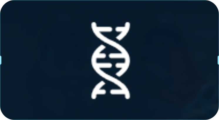 适应.png
